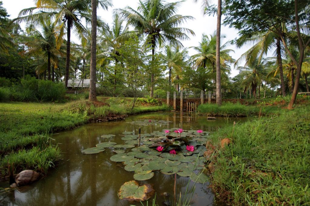 Hôtel Shreyas Retreat à Nelamangala Extérieur photo